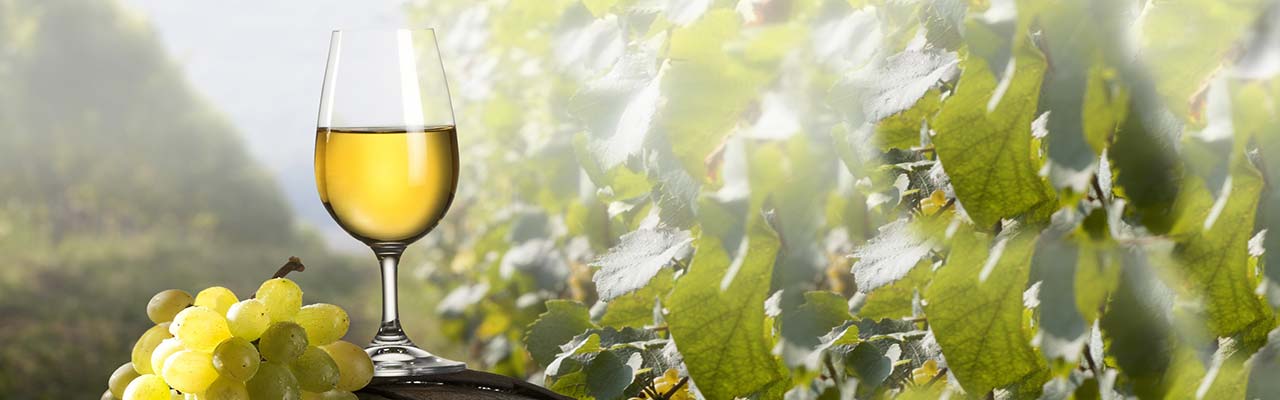 винные и продовольственные праздники в фермерском доме