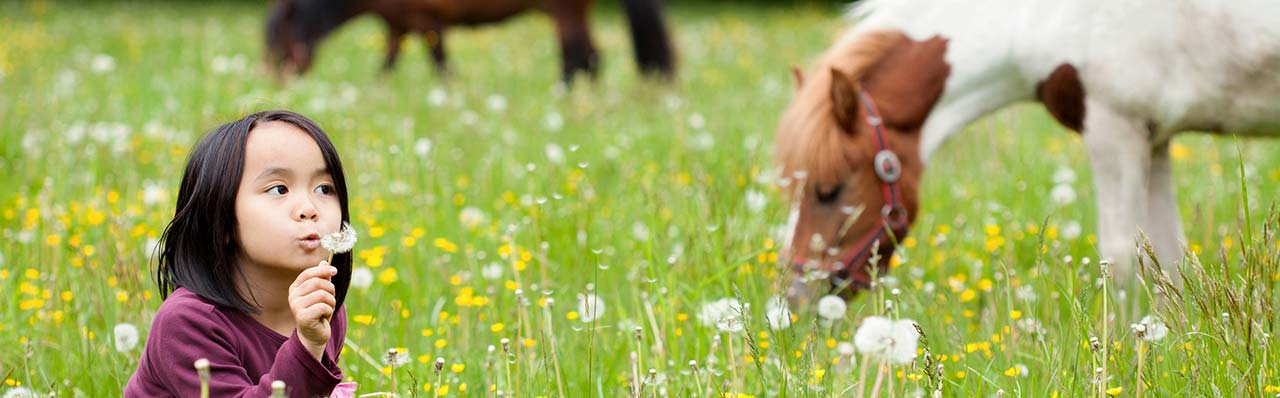 Сицилийские фермы с образовательной фермой