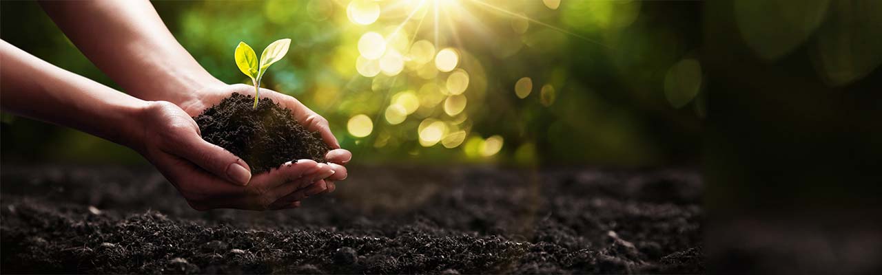 Органические фермы на Сицилии