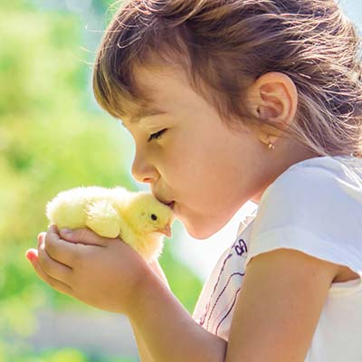 Семейный отдых: Ферма с животными для детей